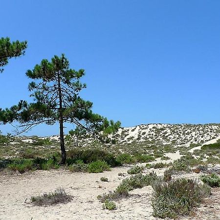Comporta Beach House Экстерьер фото