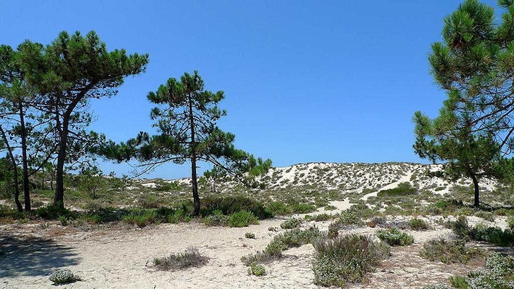 Comporta Beach House Экстерьер фото