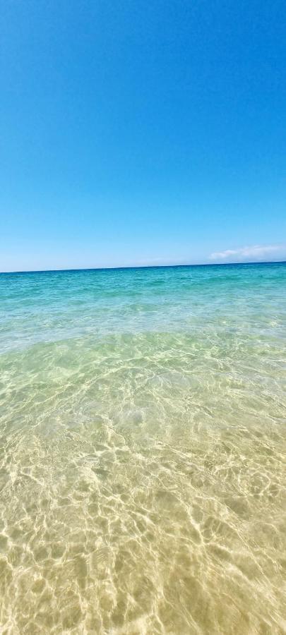 Comporta Beach House Экстерьер фото